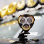 Ensemble de 2 LED Projecteur KC Flex Era Jeep